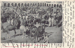 Tunisie - TATAHOUINE - Marché De Chameaux - Ed. A. Alexandropoulos 9 - Tunisie