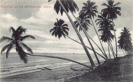 SRI LANKA - Moonlight On The Bambalapitiya - Publ. Plâté & Co. 217 - Sri Lanka (Ceylon)