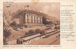 MONACO - Hôtel De Nice, Avenue De La Gare - Ed. G. Mandelli  - Hotels