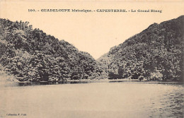 Guadeloupe Historique - CAPESTERRE - Le Grand Etang - Ed. F. Petit 100 - Autres & Non Classés