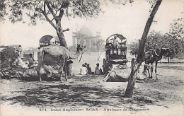 India - AGRA - Camel Teams - Publ. Messageries Maritimes 274 - India