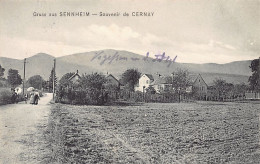 Cernay (68) Souvenir De Cernay Gruss Aus Sennheim Entrée Du Village - Cernay