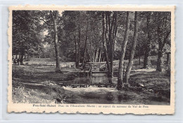 Belgique - POIX SAINT HUBERT (Prov. Lux.) Parc De L'Hostellerie Martin - Altri & Non Classificati