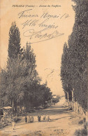 Tunisie - FERIANA - Avenue Des Peupliers - Ed. Hostalier  - Tunisie