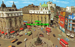 R570647 Piccadilly Circus. London. Natural Colour Series. Photographic Greeting - Other & Unclassified