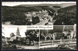 AK Fischelbach-Wittgenstein, Strassenpartie Und Dammwild  - Other & Unclassified