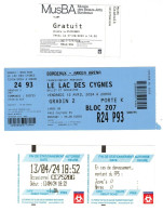 Lot Tickets Bordeaux 2023, Spring 2024 Parking Car, Lac Des Cygnes à L'Arena, Visite Musée Des Beaux Arts - Tickets - Vouchers