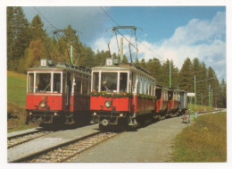 2 TRAINS SPÉCIAUX DES CHEMINS DE FER DU TYROL AVEC LES WAGONS 2 ET 3 ( CONSTRUITS EN 1909 ) ET LE WAGON DE MARCHANDISES - Trenes