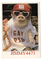 CPM - HUMOUR - GAY PIG - Edit. C.D. CARDS Et IBERIA - Humor