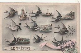 ***  76  *** LE TREPORT  Multi-vues Hirondelles -- TTBE  - Le Treport