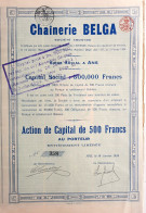 Chaînerie Belga - 1924 - Ans - Action De Capital De 500 Francs - Industry