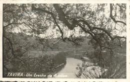 TAVIRA - Um Trecho Da Assêca  ( 2 Scans ) - Faro