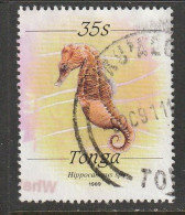 TONGA, USED STAMP, OBLITERÉ, SELLO USADO, - Tonga (1970-...)