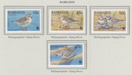 BARBADOS 1999 WWF Birds Mi 952-955 MNH(**) Fauna 599 - Otros & Sin Clasificación