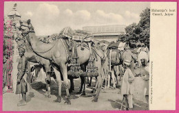 Ag3806  - INDIA - VINTAGE POSTCARD - Jaupur, Maharaja's Best Camel - India