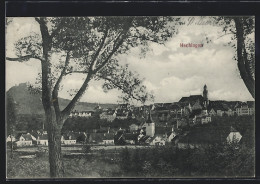 AK Hechingen, Ortsansicht Mit Burg Im Hintergrund  - Hechingen