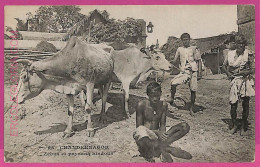 Ag3808  - INDIA - VINTAGE POSTCARD - Chandernagore, ETHNIC - Inde