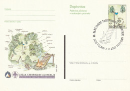 SCOUT SLOVENIA 2002 INTERO POSTALE ANNULLO TOLMINO - Slovenia