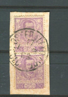 REGNO 1901  EFFIGIE VITTORIO EMANUELE III  50 C. COPPIA USATA - Afgestempeld