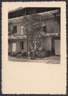 Donne Su Balcone Divise Da Pianta, 1935 Fotografia Epoca, Vintage Photo - Lugares