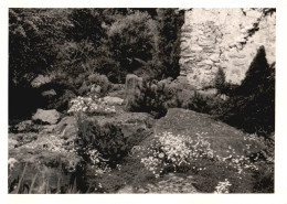 Caumont, France, La Rocaille, 1970 Fotografia Epoca, Vintage Photo - Lugares