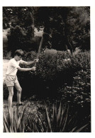 Jardin De Caumont, Piante, Fiori, Botanica, 1970 Fotografia Vintage - Lugares