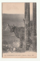 02 . Laon . Cathédrale . Chimère . Boeufs - Laon