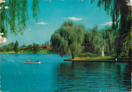 Navigation Sailing Vessels & Boats Themed Postcard Romania Herastrau Park - Segelboote