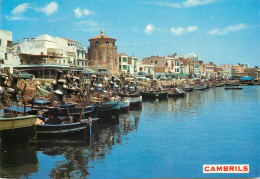 Navigation Sailing Vessels & Boats Themed Postcard Cambrils Harbour - Voiliers