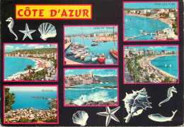 Navigation Sailing Vessels & Boats Themed Postcard Cote D'Azur Harbour Multi Views Shells - Zeilboten