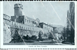 N786 Cartolina Trento Citta'  Castello Del Buon Consiglio - Trento