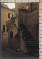116118GF/ TUSCANIA, Palazzo Spagnoli - Altri & Non Classificati