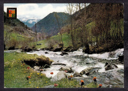 112220/ Vall D'Arinsal I Riu Arinsal - Andorre