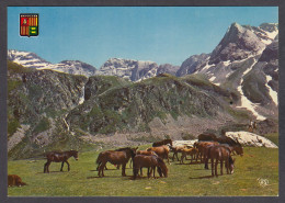 112219/ Valls D'Andorra, Chevaux En Liberté Au Paturage, Cavalls Que Corren Lliures A Les Pastures - Andorre