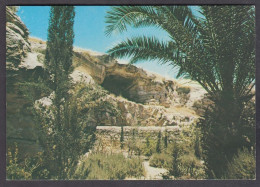 128600/ JERUSALEM, Golgotha, The Garden Tomb - Israele