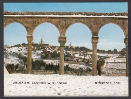 115607/ JERUSALEM Covered With Snow, View To Mount Of Olives From Temple Area - Israël