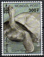 MONGOLIA - 1v - MNH - Giant Tortoise -Tortue Géante -  Tartaruga Gigante - Schildkröte - Tortuga Gigante - Animals - Tartarughe