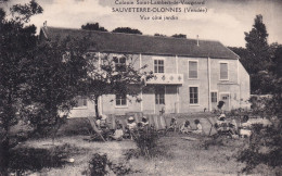 SAUVETERRE D OLONNE(COLONIE DE SAINT LAMBERT DE VAUGIRARD) - Otros & Sin Clasificación