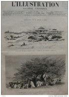 L'assassinat De M. Arnoux à Obok - Un Chirki (conseil De Guerre) - Page Original - 1882 - Documents Historiques