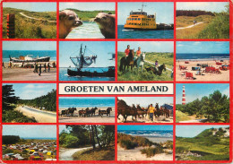 Navigation Sailing Vessels & Boats Themed Postcard Groeten Van Ameland Fishing Trauler - Sailing Vessels