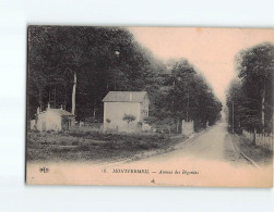 MONTFERMEIL : Avenue Des Bégonias - Très Bon état - Montfermeil