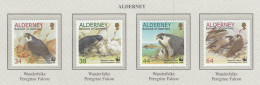 ALDERNEY 2000 WWF Birds Falcon Mi 147-150 MNH(**) Fauna 613 - Aigles & Rapaces Diurnes