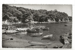 Hyères (83) : Vue Générale Du Port Du Niel En 1958 (animé) PF. - Hyeres