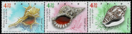 ISRAEL 2022 Mi 2805-2807 CONESHELLS MINT STAMPS ** - Muscheln