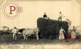 FRANCIA. FRANCE. ATTELAGE DE BOEUFS. - Sonstige & Ohne Zuordnung