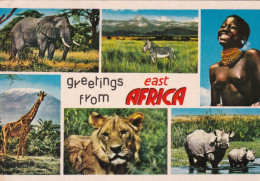 KENYA - CARTOLINA - GREETINGS FROM - EAST - AFRICA - VG. PER BERGAMO - 1979 - Kenia