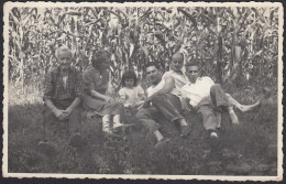 Italia 1950 - Ritratto Di Famiglia Tra Il Granturco - Fotografia D'epoca - Places