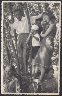 Italia 1950 - Famiglia Nel Bosco - Fotografia D'epoca - Places