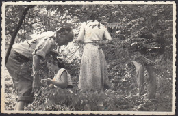 Italia 1950 - Alla Ricerca Di Funghi - Fotografia D'epoca - Old Photo - Places