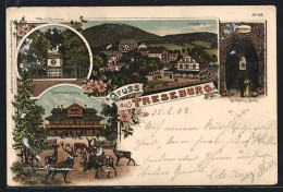 Lithographie Treseburg, Gasthaus Dambachshaus, Pfeils Denkmal, Wilhelm-Blick  - Otros & Sin Clasificación